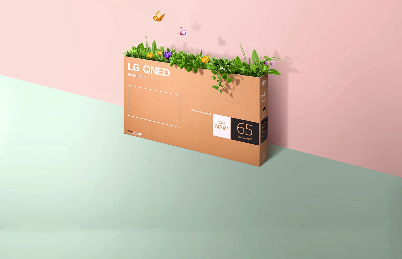 Упаковочная коробка QNED расположена на розовом и зеленом фоне, внутри нее растет трава и вылетают бабочки. 
