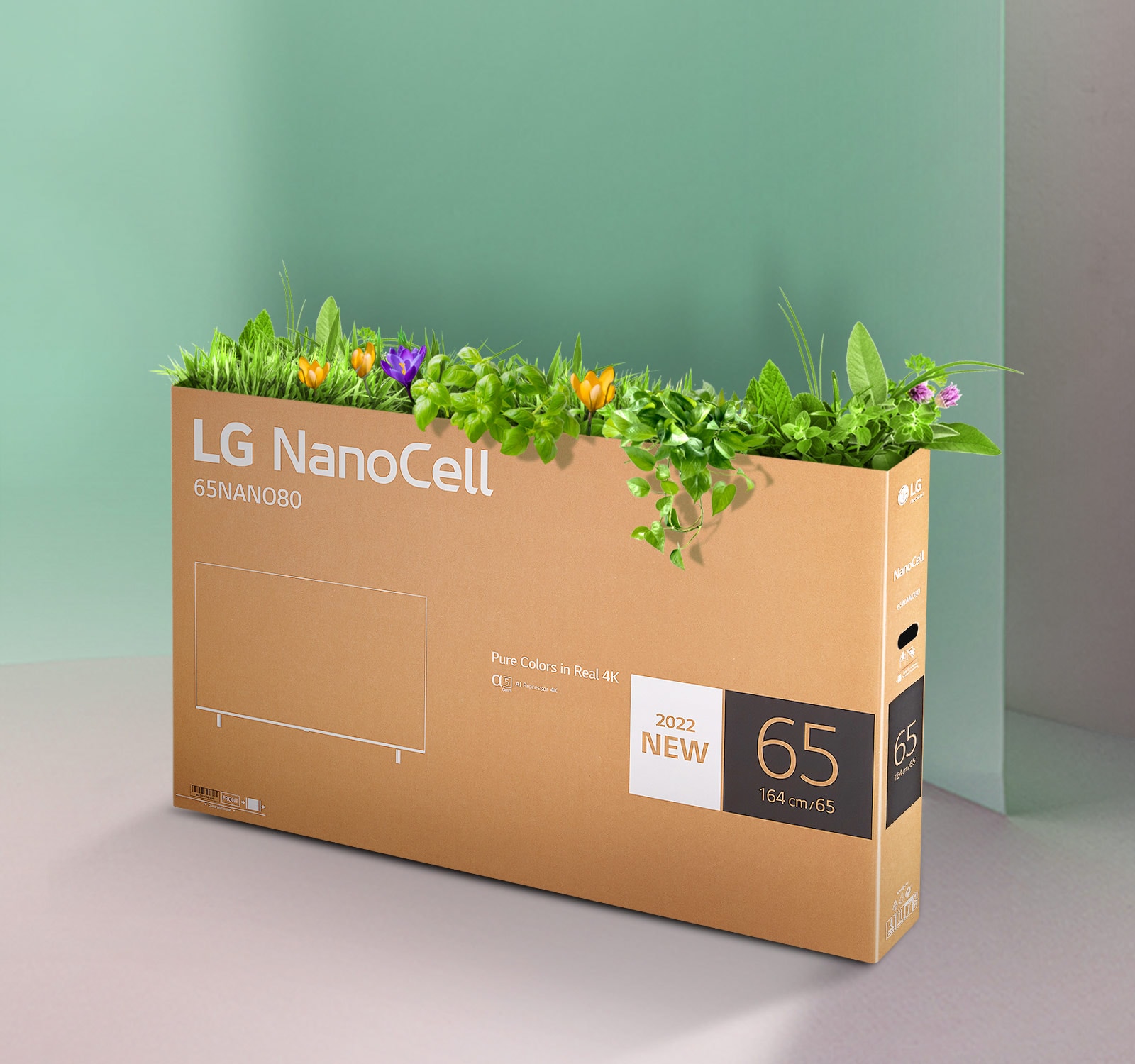 Перерабатываемая коробка телевизора LG NanoCell с цветами и растениями, растущими из верхней части коробки.
